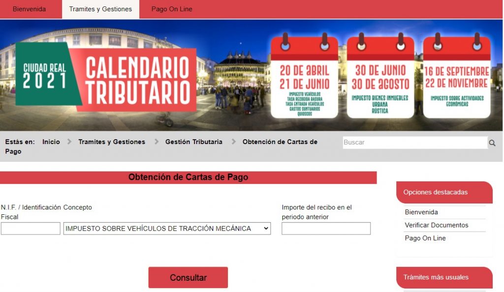 Web Ayto. Ciudad Real